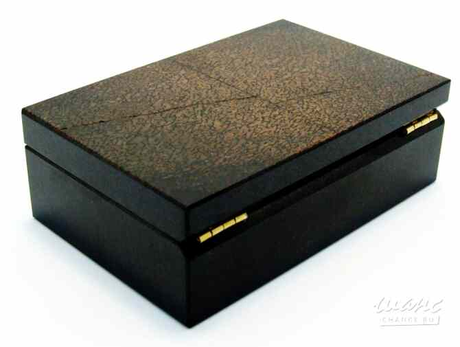 Динозавр - Коллекционная Шкатулка из окаменевшей кости - камня Динобон Москва - изображение 7