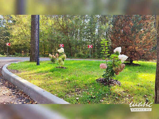 Земельный участок 10 соток, ИЖС, Сосновый переулок Москва - изображение 7