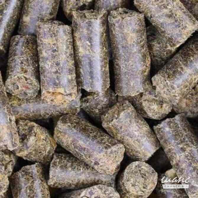 Дмитротарановский сахарный завод - ООО Продимекс Белгород - изображение 2