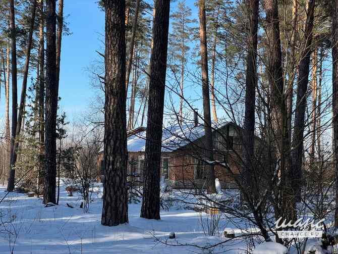 продажа - другое  - изображение 5