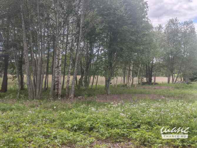Земельный участок 15 соток, ИЖС Приозерск - изображение 7