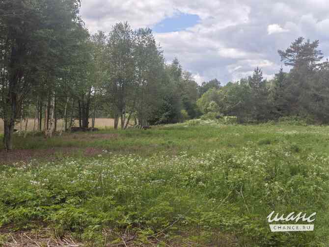 Земельный участок 12 соток, ИЖС Приозерск - изображение 8