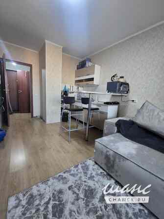 1-к квартира, 21.8 м², этаж 18/24 Мурино - изображение 5