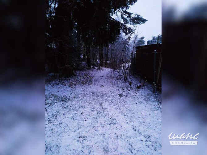 Коттедж 42.5 м², Машиностроитель территория снт, 31 Всеволожск - изображение 9