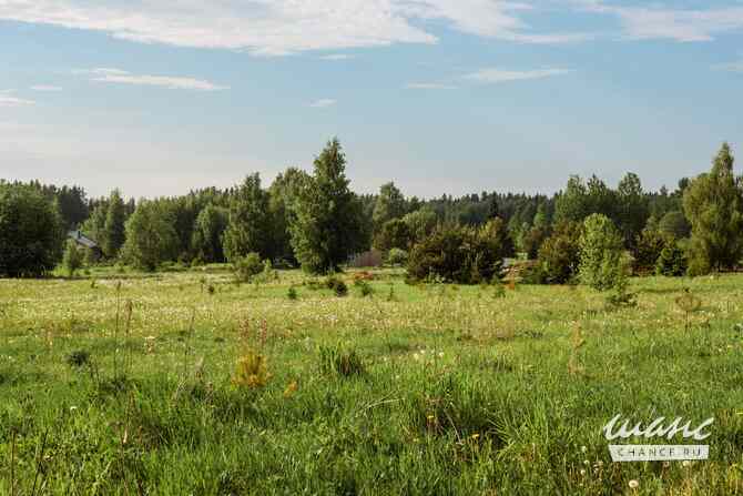 Земельный участок 18 соток, Березовая аллея Кингисепп - изображение 4