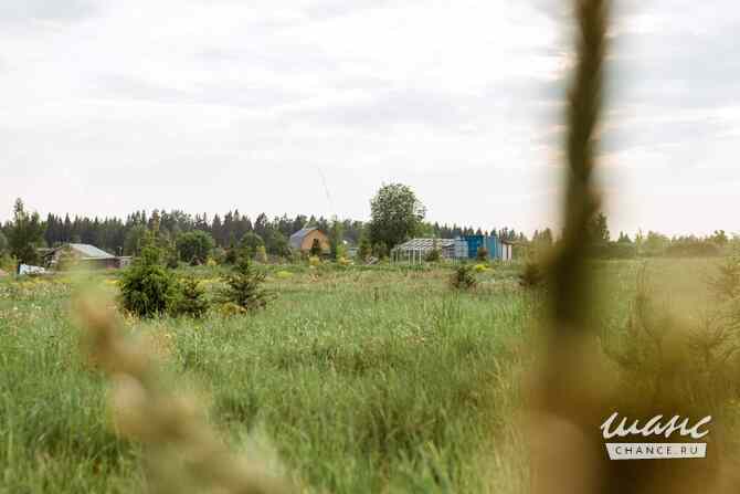 Земельный участок 21 соток, Березовая аллея Кингисепп - изображение 4
