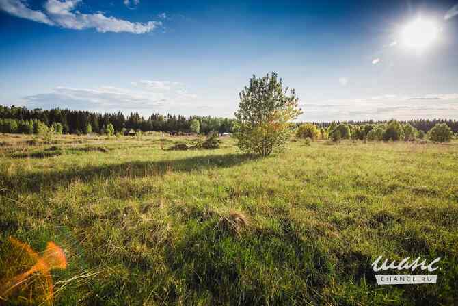 Земельный участок 20 соток, Березовая аллея Кингисепп - изображение 5