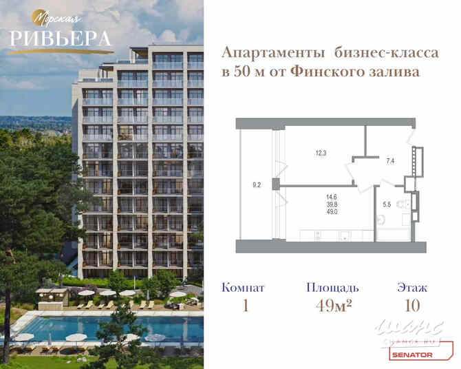 1-к квартира, 49 м², этаж 10/12 Зеленогорск - изображение 2