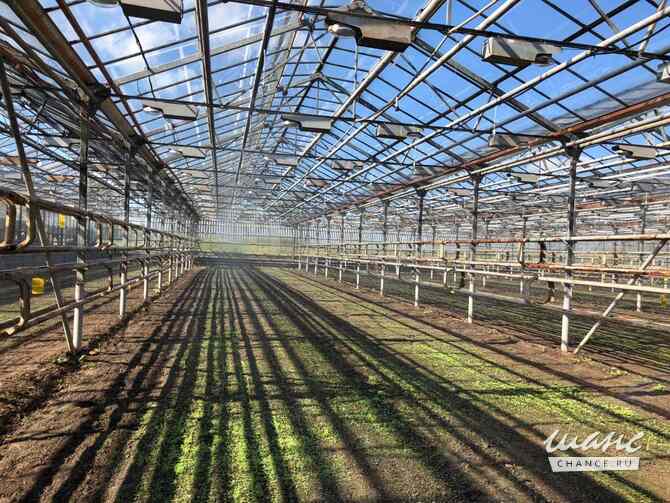 продажа - производственные и складские помещения Жуков - изображение 3