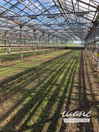 продажа - производственные и складские помещения Жуков - изображение 2