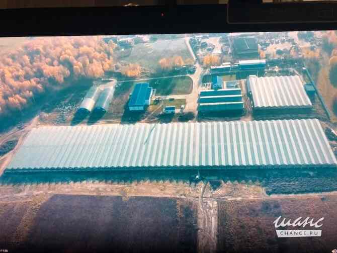 продажа - производственные и складские помещения Жуков - изображение 3