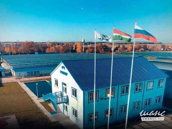 продажа - производственные и складские помещения Жуков - изображение 1