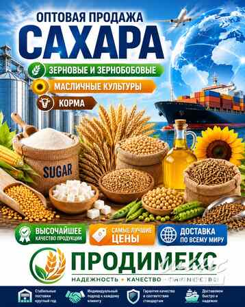 Сахар, зерновые и зернобобовые, масличные культуры, корма Москва - изображение 1