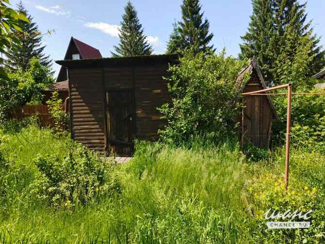 Дача 40 м², Центральная улица, 137 Новоалтайск - изображение 10