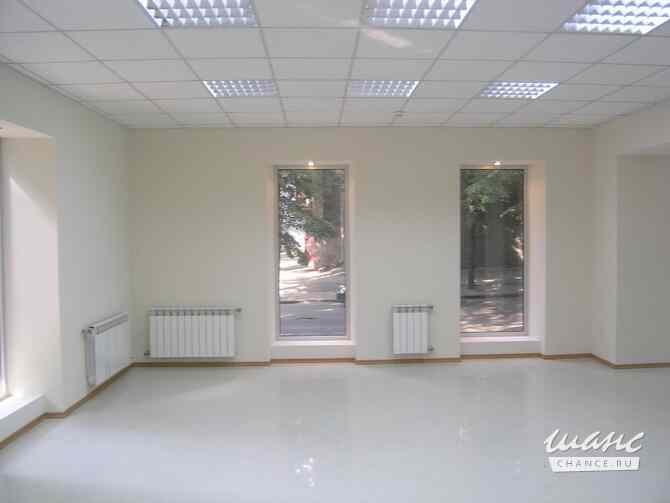 Офис, 80 м² на Московском ш. От собственника. Санкт-Петербург - изображение 1