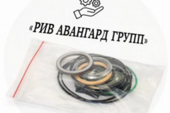 Комплект уплотнений Putzmeister гидромотора
