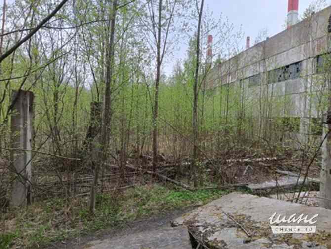 продажа - производственные и складские помещения Кириши - изображение 3