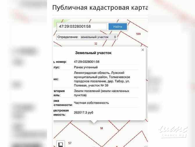 Земельный участок 16 соток, Полевая улица Луга - изображение 2