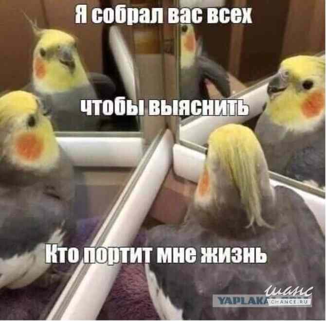 Выслушивание, нытинг, собеседник на час Москва - изображение 1