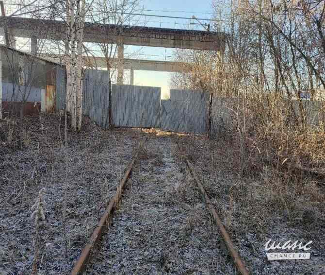 Земельный участок 79 соток, Пойма ул. Ижевск - изображение 3