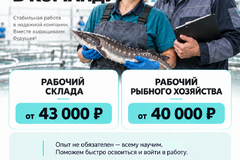 подсобный рабочий график 2/2