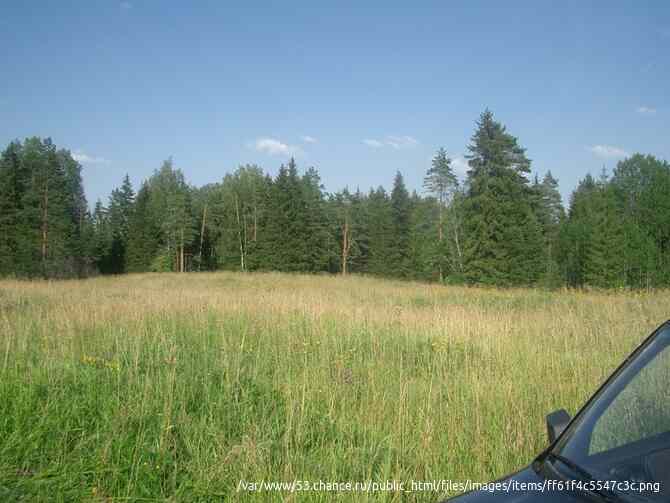 27.3 га из двух участков одним лотом в лесном массиве рядом с гольф клубом Горки. Ломоносов - изображение 6