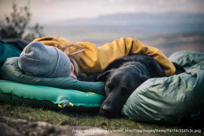 Самонадувающийся коврик Thermarest Trail Pro Москва - изображение 4